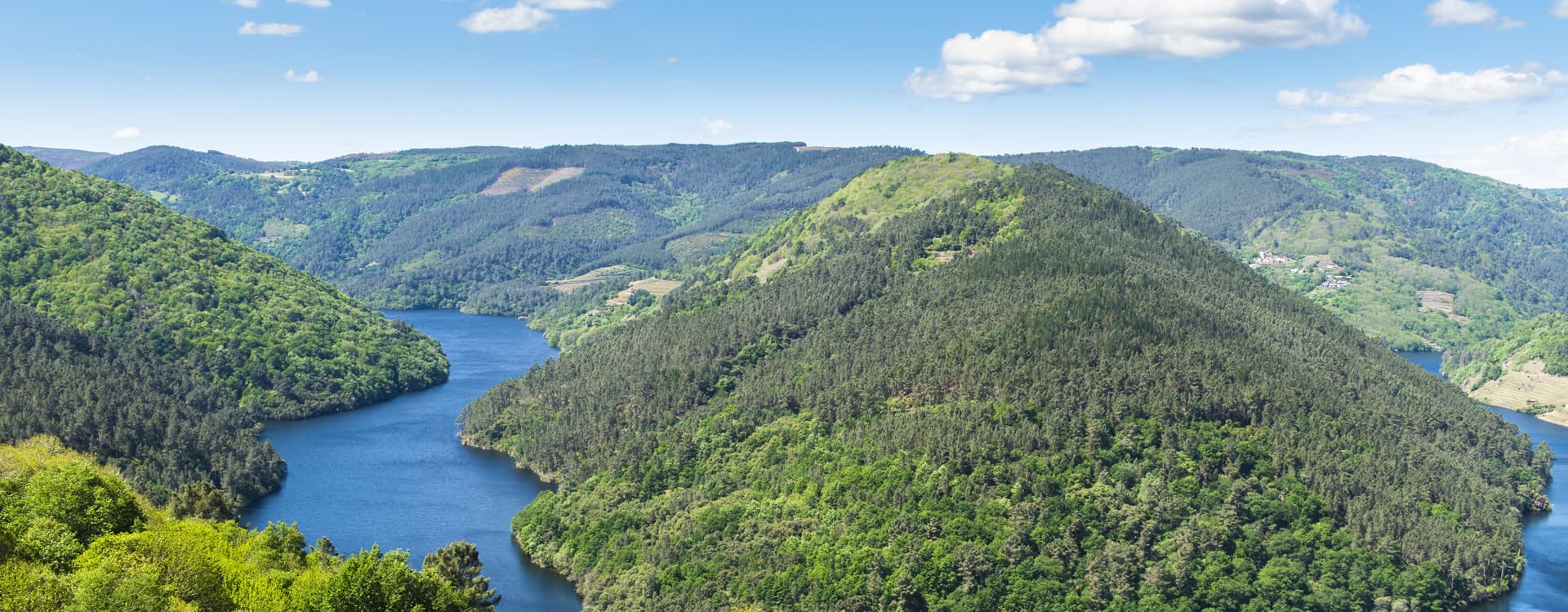 Onbus Travel is everything you need to organise your holidays with pets